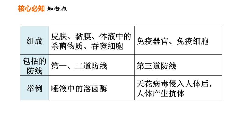 人教版八年级下册生物习题课件 第8单元 第一章巩固强化复习07