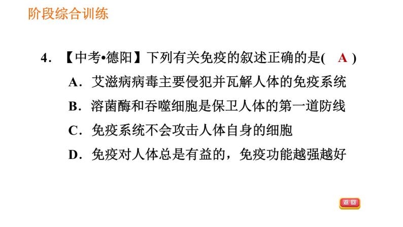 人教版八年级下册生物习题课件 第8单元 阶段综合训练 健康地生活07