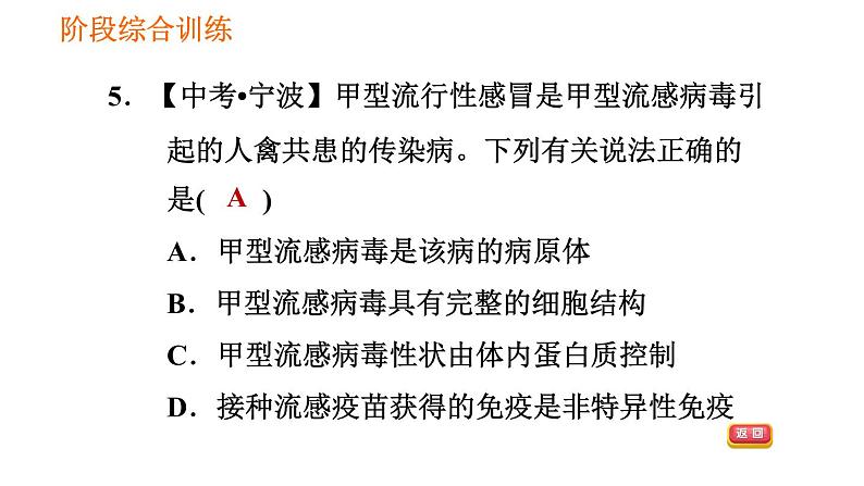 人教版八年级下册生物习题课件 第8单元 阶段综合训练 健康地生活08