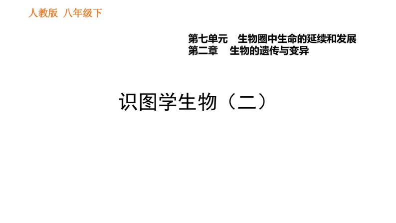 人教版八年级下册生物习题课件 第7单元 识图学生物（二）01