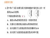 人教版八年级下册生物习题课件 第7单元 识图学生物（二）