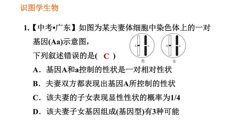 人教版八年级下册生物习题课件 第7单元 识图学生物（二）04