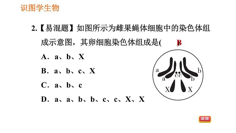 人教版八年级下册生物习题课件 第7单元 识图学生物（二）06