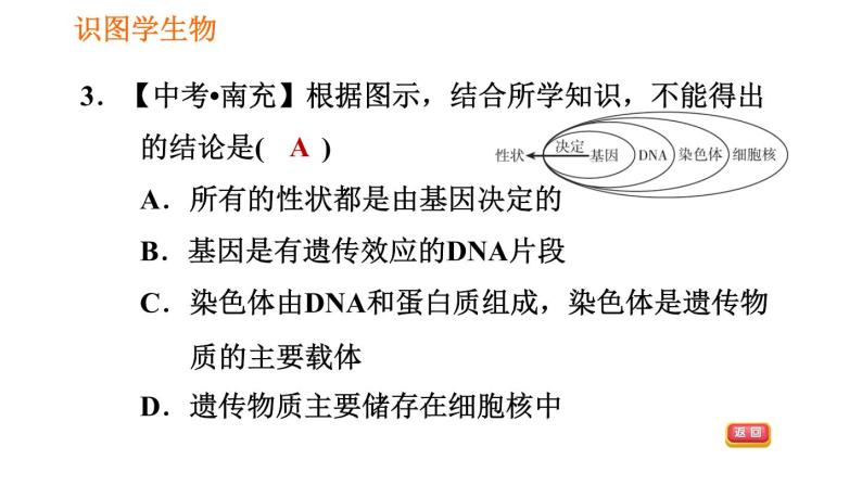 人教版八年级下册生物习题课件 第7单元 识图学生物（二）07