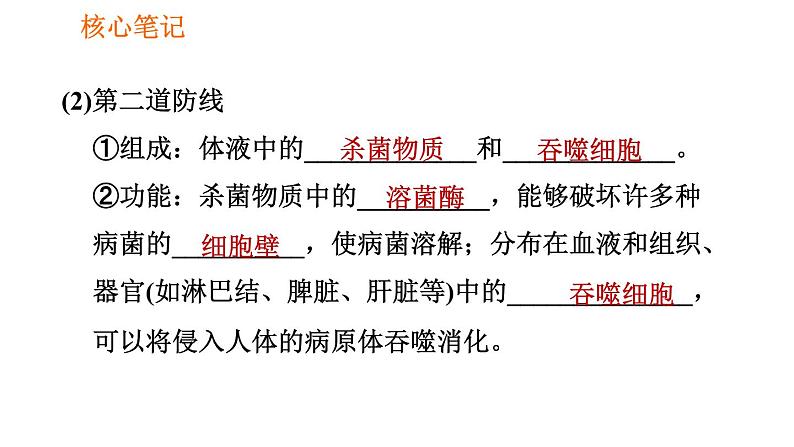 人教版八年级下册生物习题课件 第8单元 8.1.2.1 人体的三道防线、免疫的功能第3页