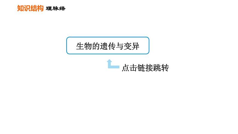 人教版八年级下册生物习题课件 第7单元 第二章巩固强化复习第2页