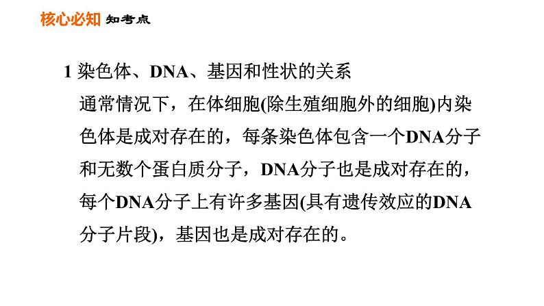 人教版八年级下册生物习题课件 第7单元 第二章巩固强化复习第3页