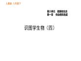 人教版八年级下册生物习题课件 第8单元 识图学生物（四）