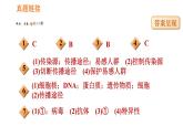 人教版八年级下册生物习题课件 第8单元 识图学生物（四）