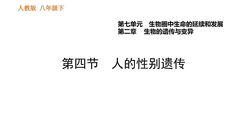 人教版八年级下册生物习题课件 第7单元 7.2.4 人的性别遗传01