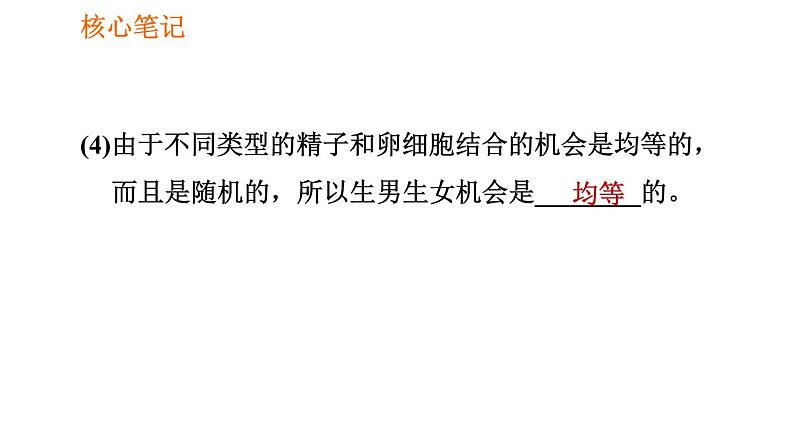 人教版八年级下册生物习题课件 第7单元 7.2.4 人的性别遗传08