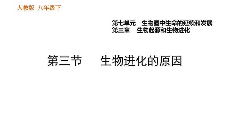 人教版八年级下册生物习题课件 第7单元 7.3.3 生物进化的原因第1页