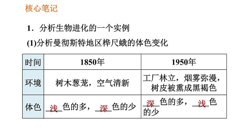 人教版八年级下册生物习题课件 第7单元 7.3.3 生物进化的原因第2页