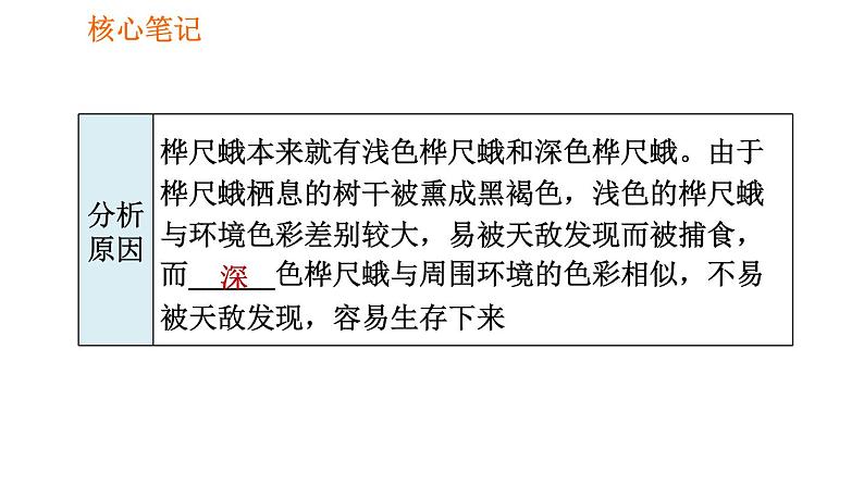 人教版八年级下册生物习题课件 第7单元 7.3.3 生物进化的原因第3页