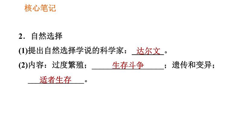 人教版八年级下册生物习题课件 第7单元 7.3.3 生物进化的原因第5页