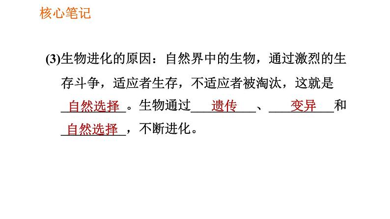 人教版八年级下册生物习题课件 第7单元 7.3.3 生物进化的原因第6页