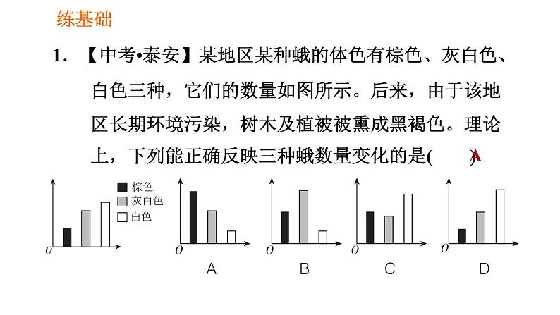 人教版八年级下册生物习题课件 第7单元 7.3.3 生物进化的原因第8页