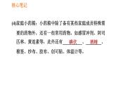 人教版八年级下册生物习题课件 第8单元 8.2.1 安全用药