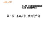 人教版八年级下册生物习题课件 第7单元 7.2.2 基因在亲子代间的传递