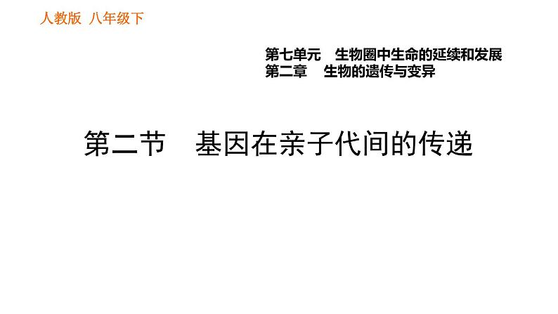 人教版八年级下册生物习题课件 第7单元 7.2.2 基因在亲子代间的传递第1页