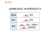 人教版八年级下册生物习题课件 第7单元 7.2.2 基因在亲子代间的传递
