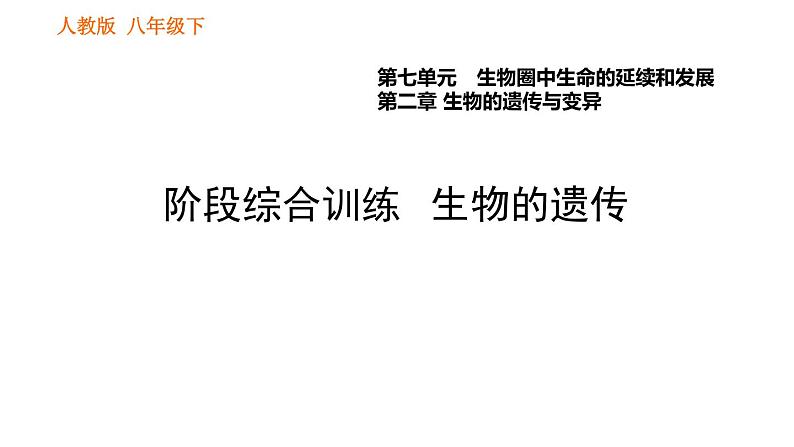 人教版八年级下册生物习题课件 第7单元 阶段综合训练 生物的遗传第1页