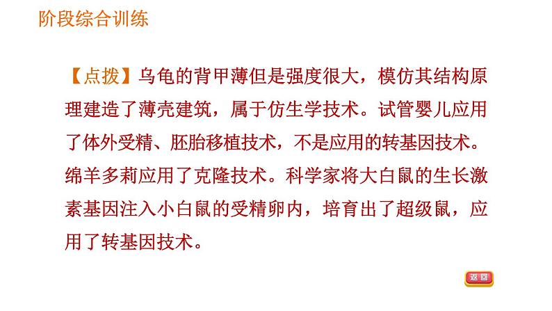 人教版八年级下册生物习题课件 第7单元 阶段综合训练 生物的遗传第4页