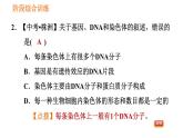 人教版八年级下册生物习题课件 第7单元 阶段综合训练 生物的遗传