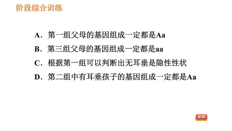 人教版八年级下册生物习题课件 第7单元 阶段综合训练 生物的遗传第7页