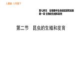 人教版八年级下册生物习题课件 第7单元 7.1.2 昆虫的生殖和发育