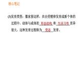 人教版八年级下册生物习题课件 第7单元 7.1.2 昆虫的生殖和发育