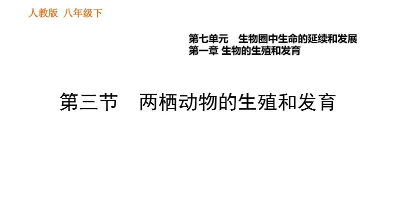 人教版八年级下册生物习题课件 第7单元 7.1.3 两栖动物的生殖和发育01