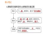 人教版八年级下册生物习题课件 第7单元 7.1.3 两栖动物的生殖和发育