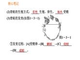 人教版八年级下册生物习题课件 第7单元 7.1.3 两栖动物的生殖和发育