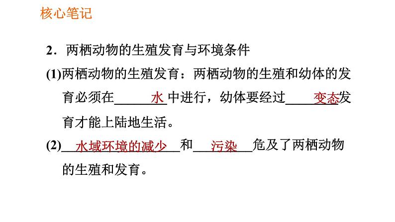 人教版八年级下册生物习题课件 第7单元 7.1.3 两栖动物的生殖和发育06