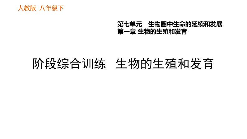 人教版八年级下册生物习题课件 第7单元 阶段综合训练 生物的生殖和发育01