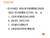 人教版八年级下册生物习题课件 第7单元 阶段综合训练 生物的生殖和发育