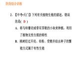 人教版八年级下册生物习题课件 第7单元 阶段综合训练 生物的生殖和发育