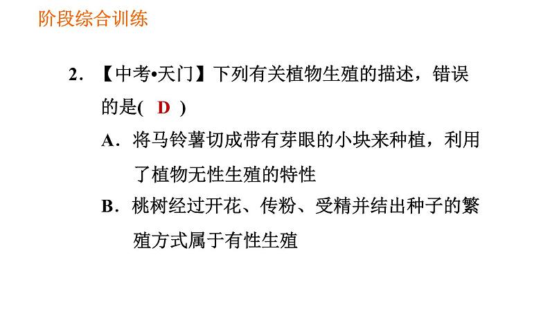 人教版八年级下册生物习题课件 第7单元 阶段综合训练 生物的生殖和发育04