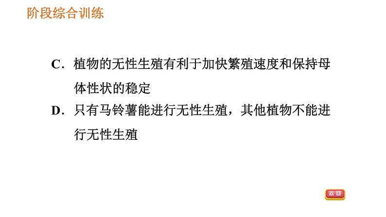 人教版八年级下册生物习题课件 第7单元 阶段综合训练 生物的生殖和发育05