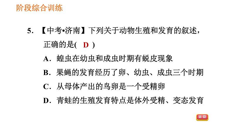 人教版八年级下册生物习题课件 第7单元 阶段综合训练 生物的生殖和发育08