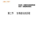 人教版八年级下册生物习题课件 第7单元 7.3.2 生物进化的历程
