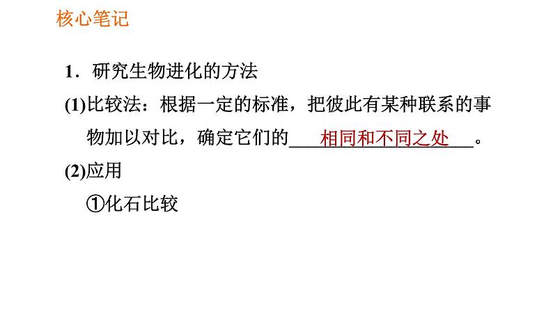 人教版八年级下册生物习题课件 第7单元 7.3.2 生物进化的历程02