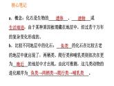 人教版八年级下册生物习题课件 第7单元 7.3.2 生物进化的历程