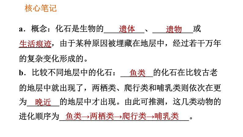 人教版八年级下册生物习题课件 第7单元 7.3.2 生物进化的历程03