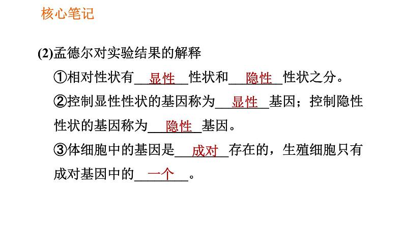 人教版八年级下册生物习题课件 第7单元 7.2.3 基因的显性和隐性第5页