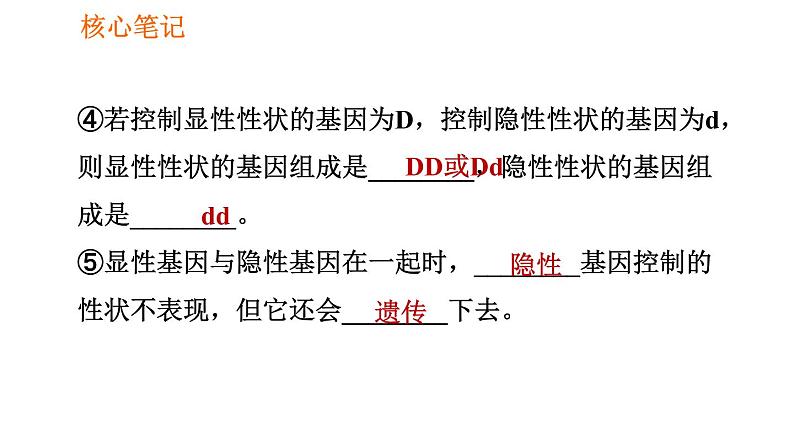 人教版八年级下册生物习题课件 第7单元 7.2.3 基因的显性和隐性第6页