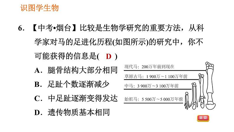 人教版八年级下册生物习题课件 第7单元 识图学生物（三）08