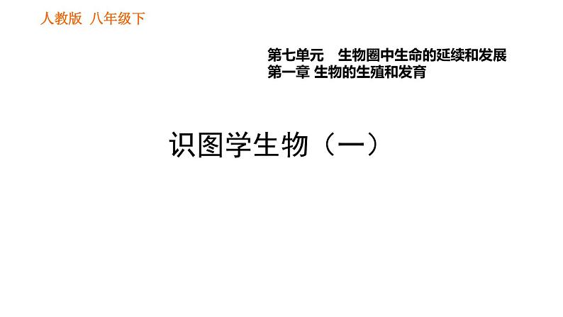 人教版八年级下册生物习题课件 第7单元 识图学生物（一）01