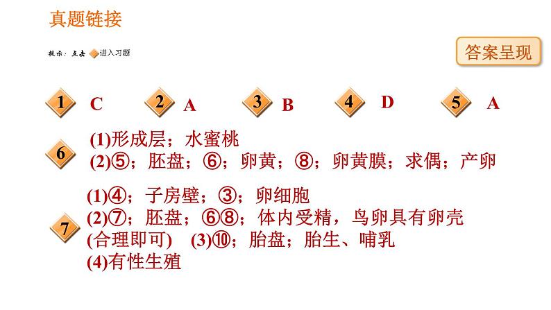 人教版八年级下册生物习题课件 第7单元 识图学生物（一）02